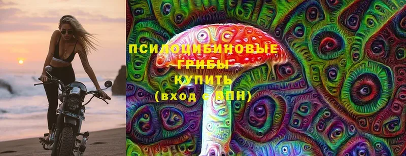 закладки  Кирово-Чепецк  Псилоцибиновые грибы Magic Shrooms 